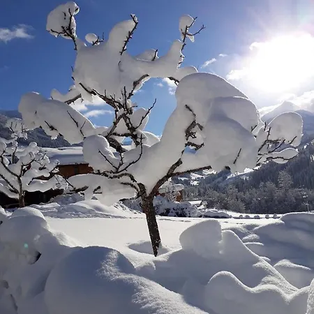 Haus Gmahblick Ferienwonungen
