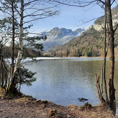 Haus Gmahblick Ferienwonungen אלפבאך