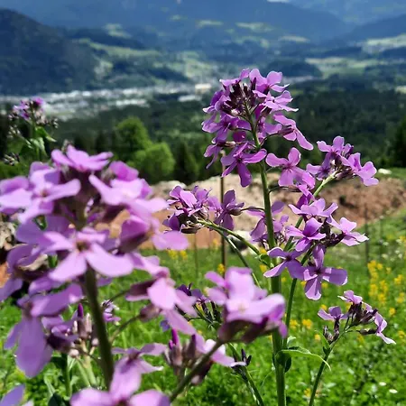 בית הארחה Haus Gmahblick Ferienwonungen אלפבאך