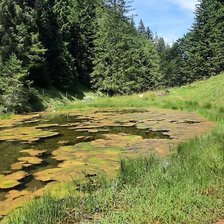 בית הארחה Haus Gmahblick Ferienwonungen אלפבאך