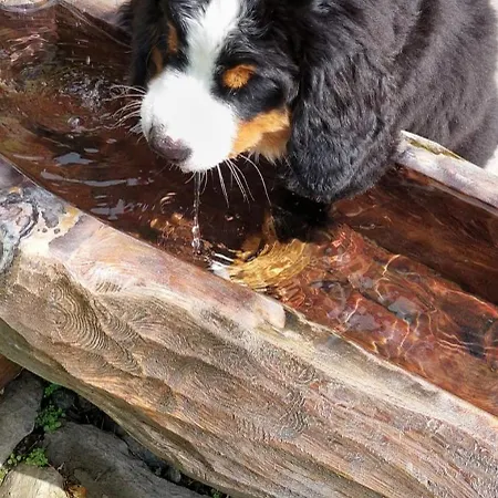 בית הארחה Haus Gmahblick Ferienwonungen אלפבאך